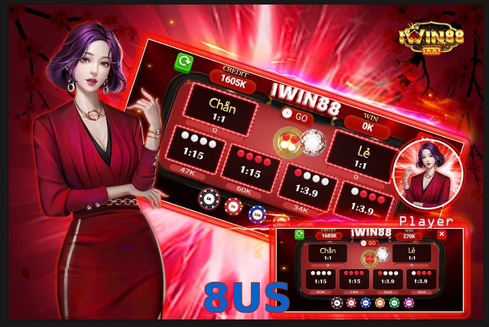 8US